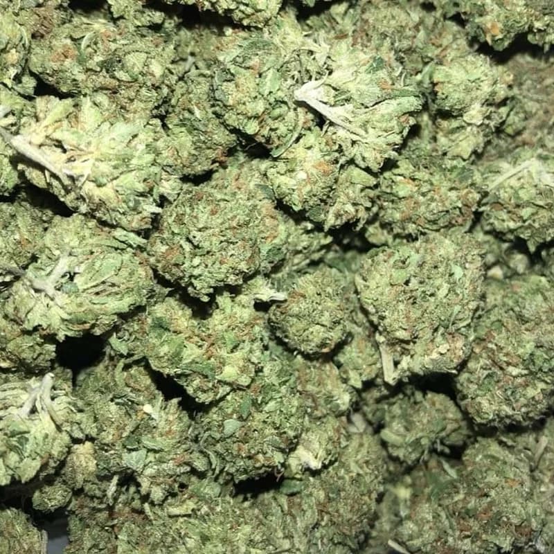 Mango Kush